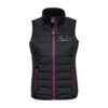 AWESOME PAWS STEALTH VESTS