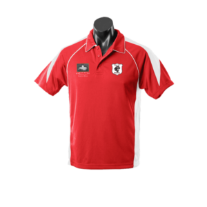 Senior Paracombe CC Players Polo