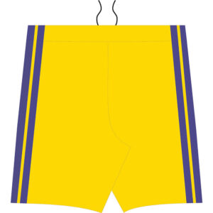 Dynasty Basketball Academy Boys Shorts